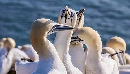 衢州最新的高价找中介取公积金违法吗方法分享(衢州中介取公积金怎么收费教程)