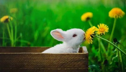 衢州最新的高价医保卡惠民保险代扣怎么取消掉了方法分享(衢州惠民医保怎么报销教程)